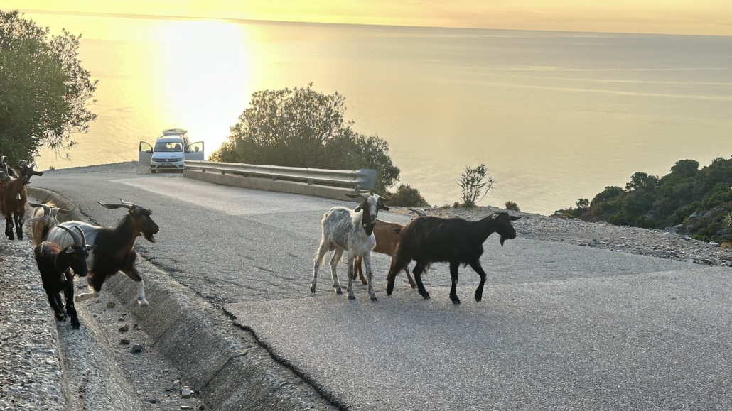 Sardinien 25, Pedra Longa-Nachbarn
